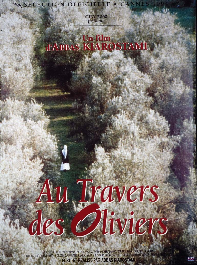 poster au travers des oliviers