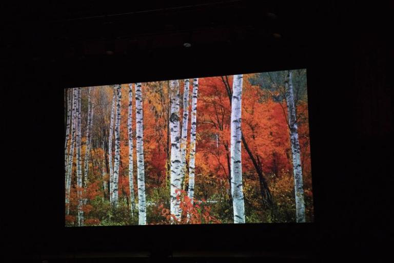 © Carine Roth / Cinémathèque suisse