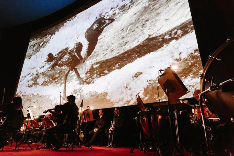 © Carine Roth / Cinémathèque suisse