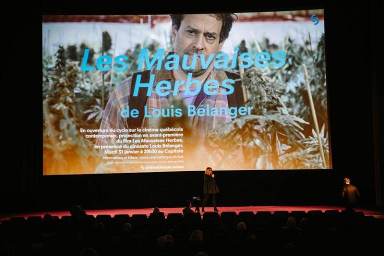 Avant-première: "Les Mauvaises Herbes" de Louis Bélanger au Capitole